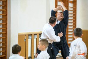 atemi aikido vs karate
