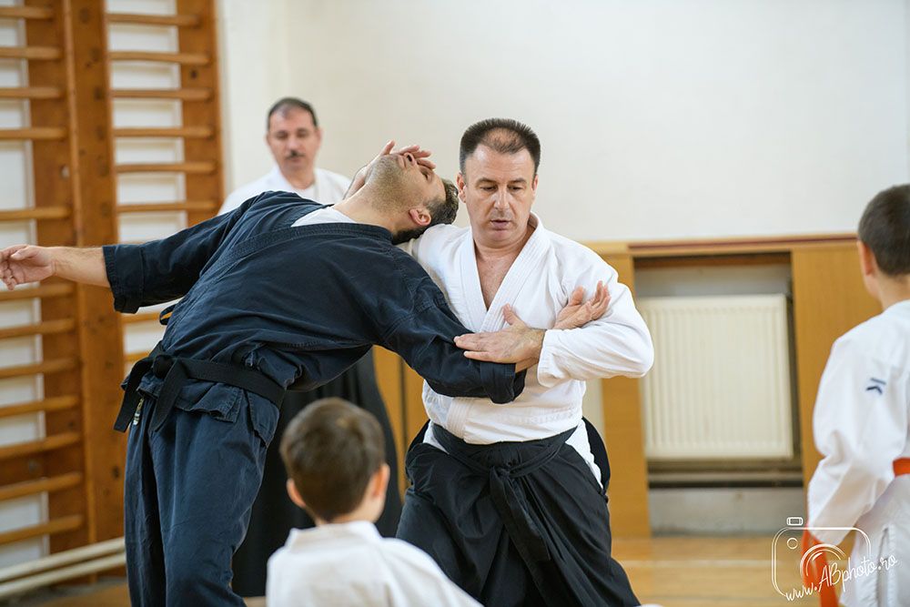 cursuri autoapărare aikido