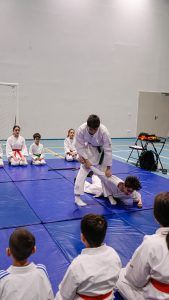 fixare in examenele de grad in artele marțiale aikido