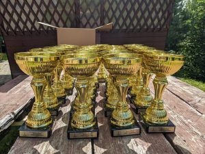 trofee tabere de vara aikido