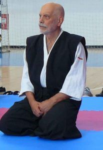 serban derlogea aikido 