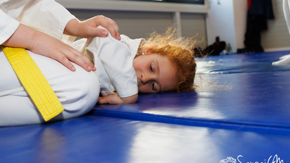 aikido sector 1